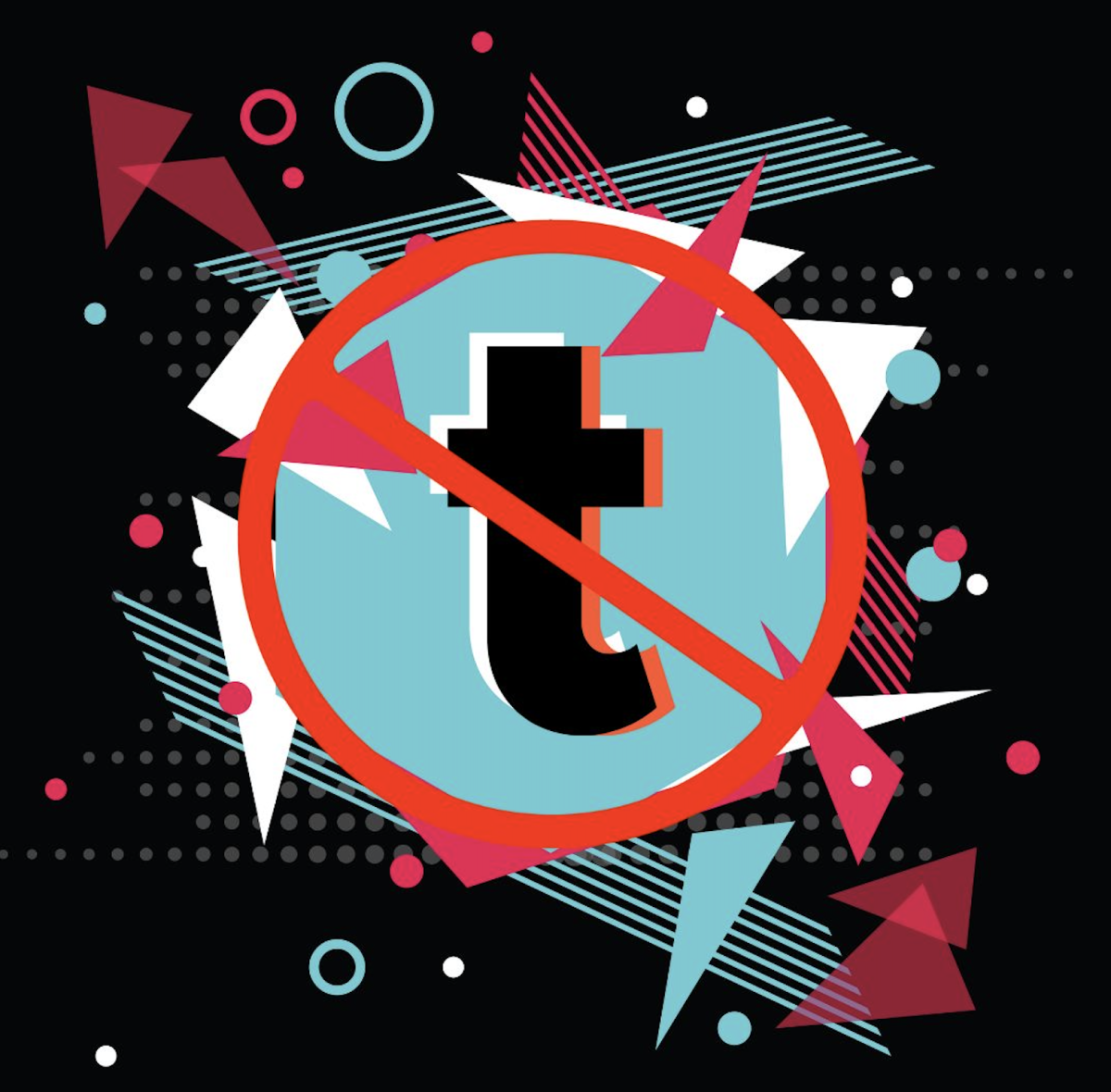 On Jan. 17, the Supreme Court upheld a law banning TikTok in the United States. 